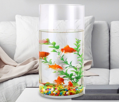 Bể cá mini hình trụ tròn mang lại sự thú vị cho không gian sống