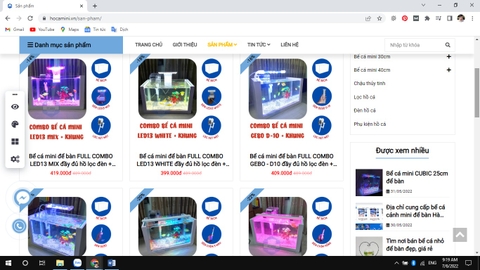 Địa chỉ bán bể cá mini phong thủy ở Hà Nội