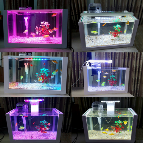 Nơi mua bể cá mini để bàn Đà Nẵng uy tín, chất lượng, giá rẻ