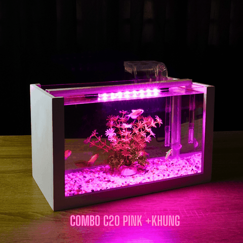 Bỏ túi kinh nghiệm mua bể cá cảnh mini