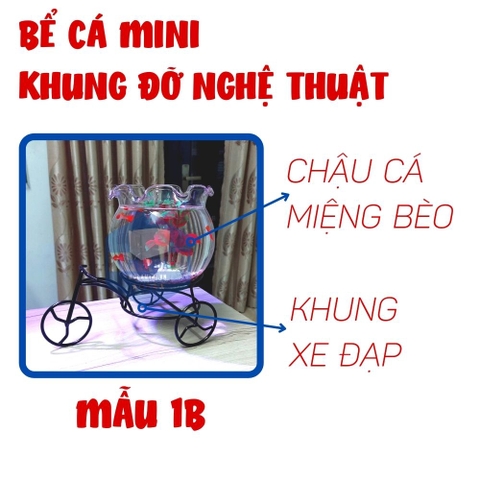 Chiêm ngưỡng những bể cá mini đẹp nhất hiện nay