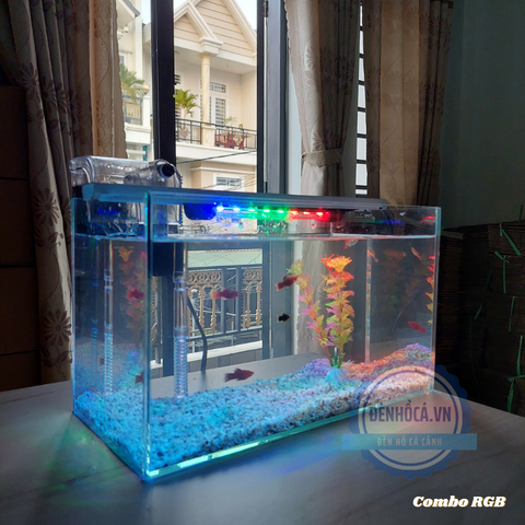 Bể cá mini phong thủy giá bao nhiêu? Nên mua ở đâu?