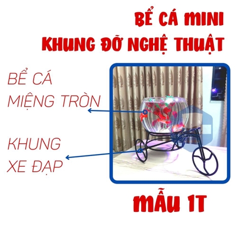 Chiêm ngưỡng những bể cá mini đẹp nhất hiện nay