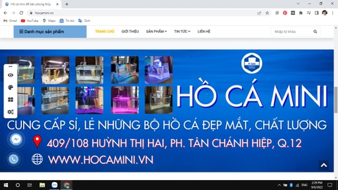Nên mua bể cá mini để bàn ở đâu đẹp?