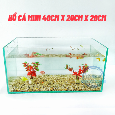 Mua bể cá mini để bàn ở đâu chất lượng, giá rẻ?