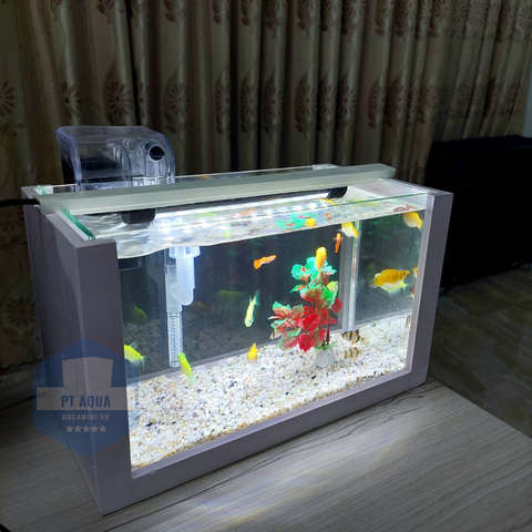 Giá bể cá mini để bàn ở đâu tốt nhất?