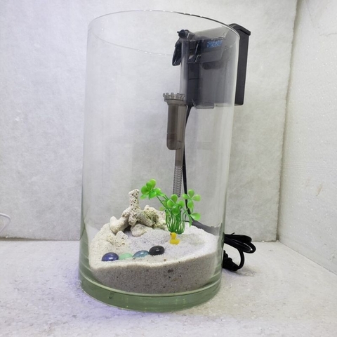 Cách setup hồ thủy sinh dạng ống thủy tinh trụ tròn