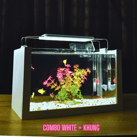 Nơi bán bể cá thủy sinh đẹp, uy tín