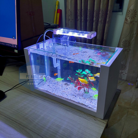 Mua bể cá mini phong thủy ở đâu?