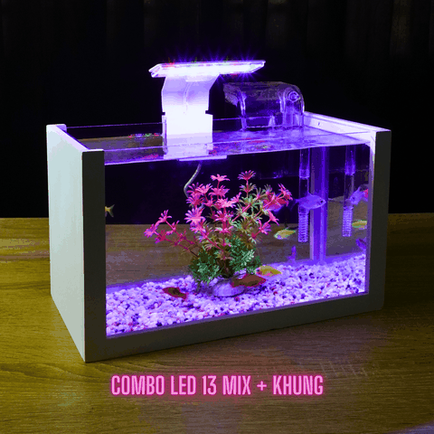 Nơi bán hồ thủy sinh mini setup sẵn HCM