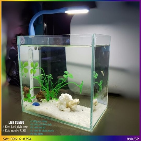 Giới văn phòng chọn bể cá để bàn nào phù hợp?