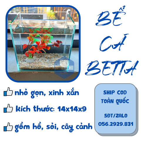 Nơi bán bể cá mini để bàn Hà Nội được đánh giá tốt nhất hiện nay
