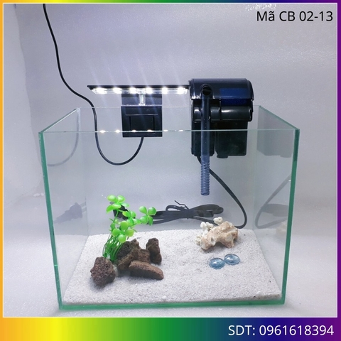 Kinh nghiệm bán bể cá mini cho người mới