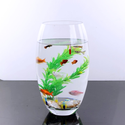 Những vấn đề thường gặp khi mua bể cá mini để bàn