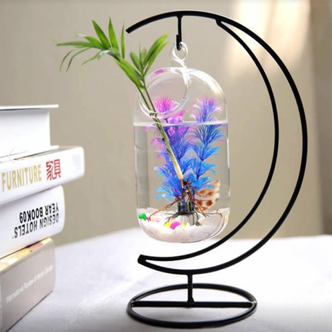 Mẫu bể cá giá treo đẹp dùng cho trang trí shop