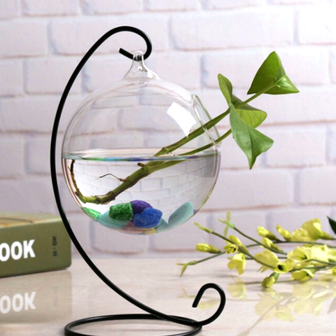 Mẫu bể cá mini chữ C nhỏ đẹp cho người thích nuôi cá betta