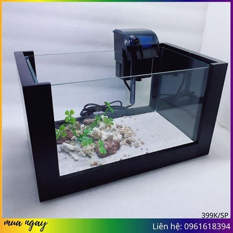 Bể cá khung gỗ phong thủy mang lại lợi ích gì cho gia chủ?