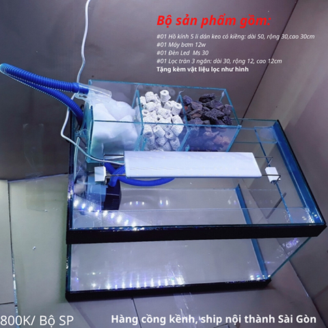 Mua bể cá kích thước lớn đầy đủ ở đâu?