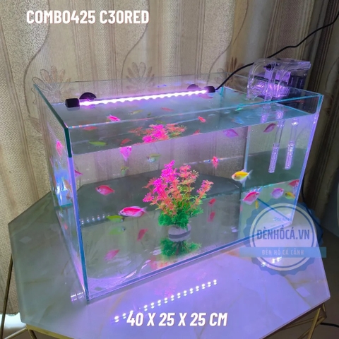 Hướng dẫn làm bể cá thủy sinh mini - 8 bước cực đơn giản