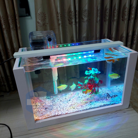 Kinh nghiệm lựa chọn khi mua bể cá cảnh