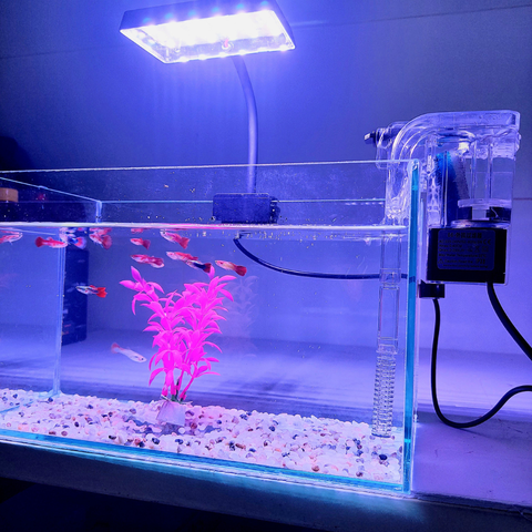 Nơi bán bể cá cảnh mini giá rẻ uy tín nhất