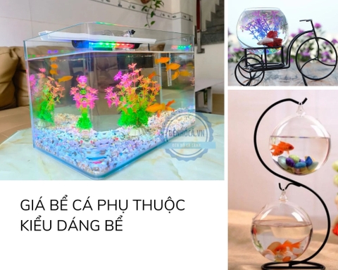Bể cá mini để bàn Hồ Chí Minh chính hãng, giá rẻ