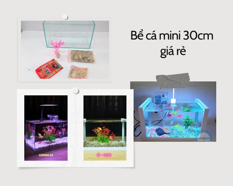 Nơi bán bể cá mini Gò Vấp uy tín, giá tốt