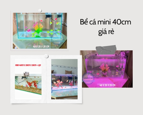 Bể cá mini để bàn Hồ Chí Minh chính hãng, giá rẻ