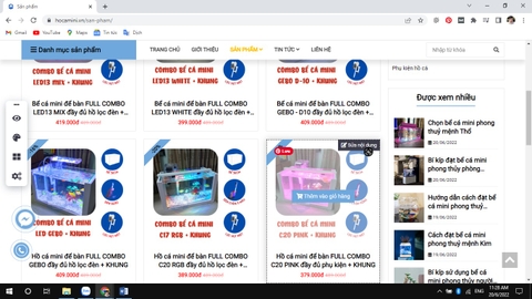 Kinh nghiệm kinh doanh bể cá mini hiệu quả