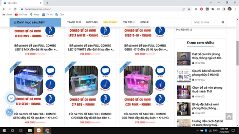 Địa chỉ cung cấp bể cá mini Đà Nẵng uy tín, đa dạng mẫu mã