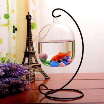 Điểm bán bể cá mini giá treo rẻ nhất tại TPHCM