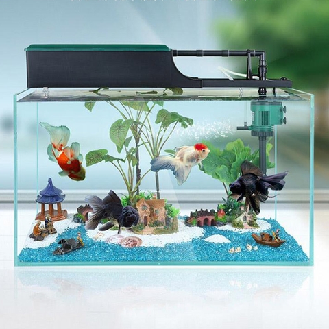 Chia sẻ kinh nghiệm chăm sóc bể cá mini cho người mới