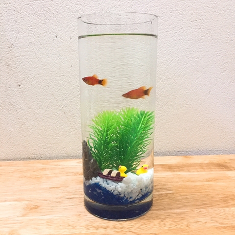Bể cá mini hình trụ có ý nghĩa gì?