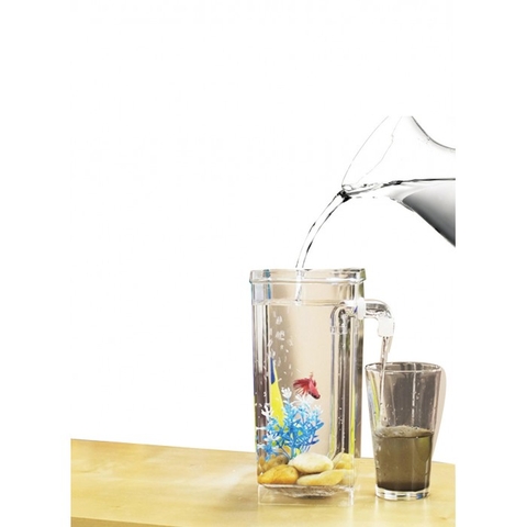 Mẫu bể cá mini lý tưởng tặng bạn bè người thân