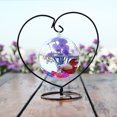 Mẫu bể cá mini làm quà tặng dành cho người thân, bạn bè