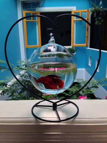Bể cá mini để bàn làm việc có ý nghĩa gì?