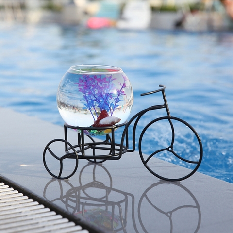 Quà tặng người yêu ý nghĩa và độc đáo nhất - Bể cá mini