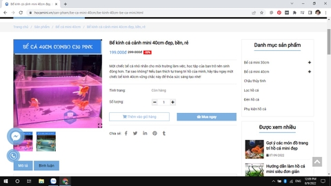 Bể cá mini bao nhiêu tiền? Nên mua bể cá mini ở đâu uy tín, giá rẻ?