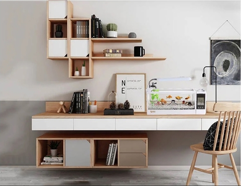 Một chiếc bể cá mini dễ thương mang lại những lợi ích gì?