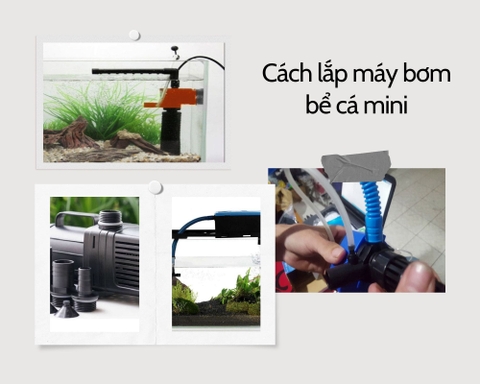 Bạn đã biết cách lắp máy bơm bể cá mini chưa?