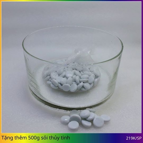 Phương pháp nuôi cá kết hợp trồng sen trong chậu thủy tinh