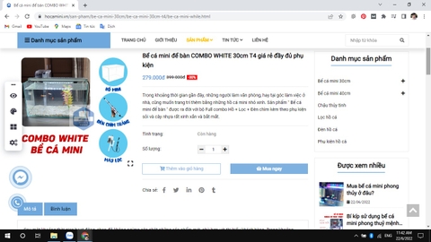 Ở đâu bán bể cá mini phong thủy rẻ nhất?