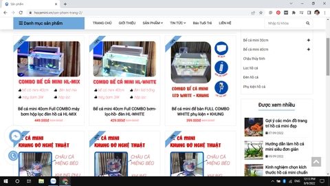 Giá hồ cá mini TPHCM ở đâu tốt nhất hiện nay?