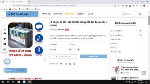 Tìm mẫu bể cá mini phong thủy cho người mệnh Mộc