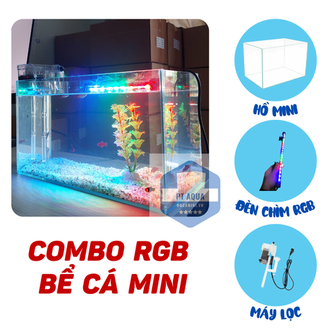 Làm hồ cá mini cần những gì?