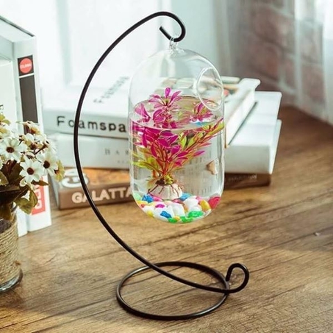 Hướng dẫn cách đặt bể cá mini phong thuỷ mệnh Hoả