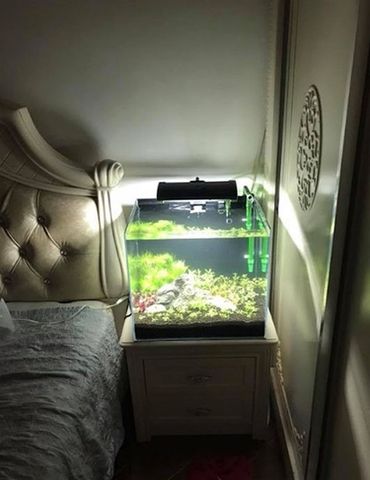 Đặt bể cá mini phong thủy phòng ngủ có tốt không?