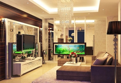 Bể cá cảnh không chỉ để trưng cho đẹp!