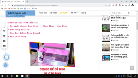 Set up bể cá siêu tiện lợi với các mẫu bể cá mini full phụ kiện