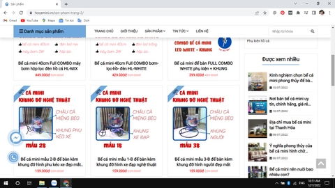 Nơi cung cấp bể cá mini giá sỉ rẻ nhất hiện nay cho người kinh doanh bể cá
